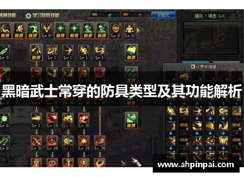 黑暗武士常穿的防具类型及其功能解析